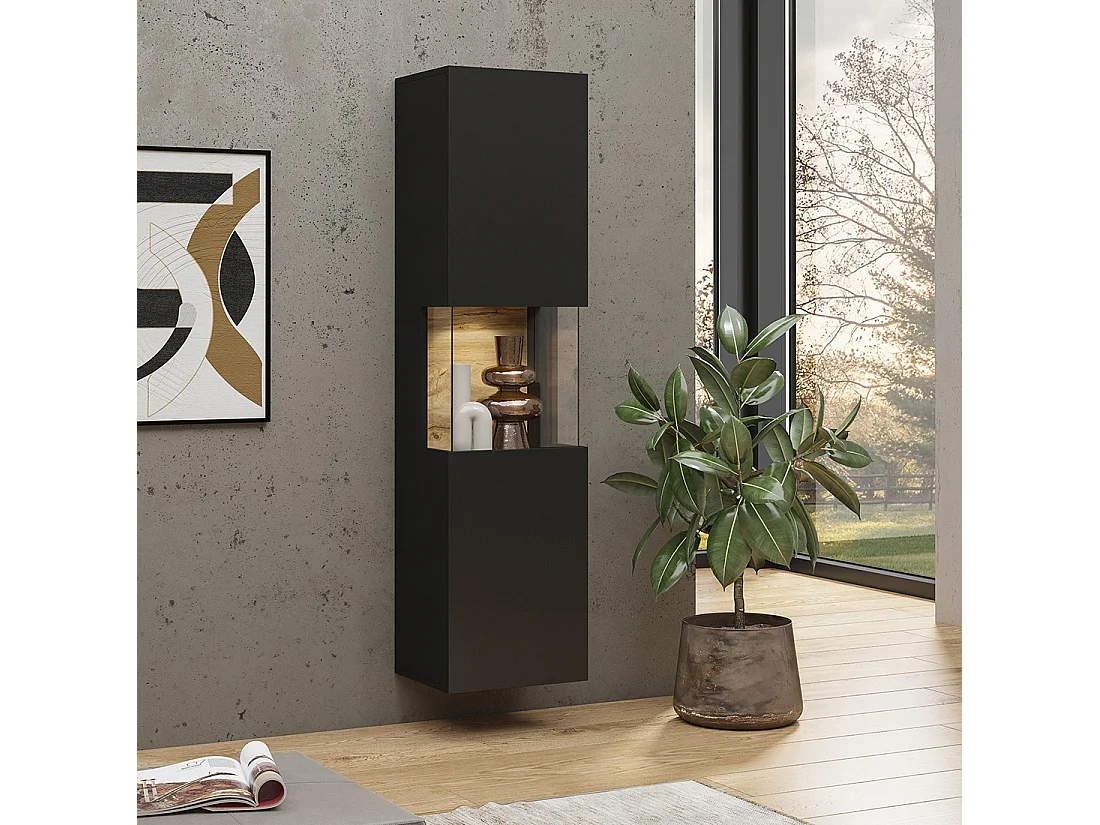 Vitrine 1 porte partiellement vitrée collection EVA. Couleur noir et chêne.