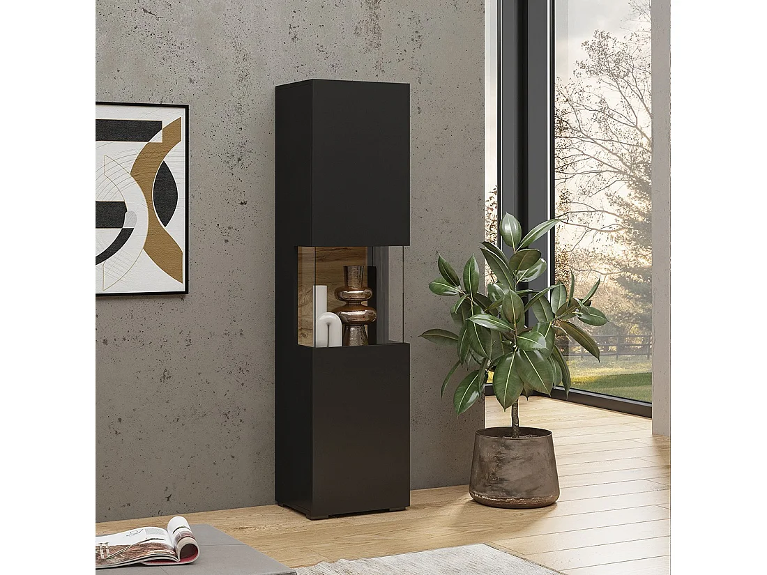 Vitrine 1 porte partiellement vitrée collection EVA. Couleur noir et chêne.