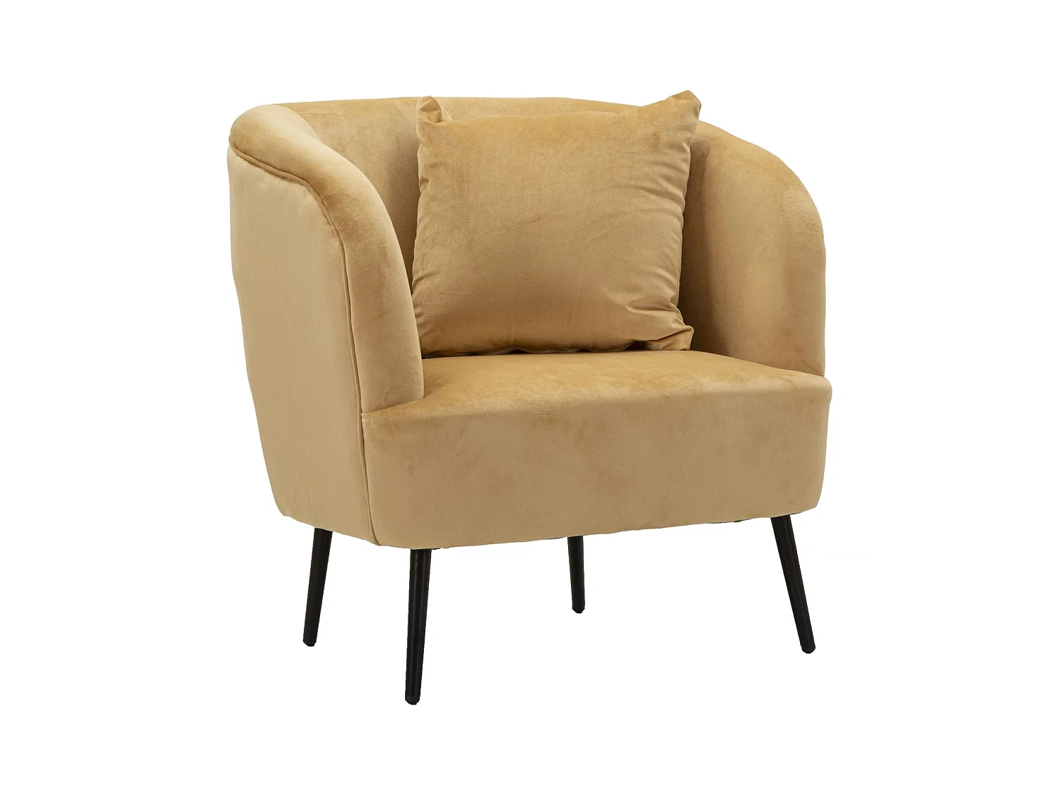 Landi fauteuil met armleuningen, 73x66x78h cm bruin, fauteuil, draagvermogen 150 kg, framekleur zwart