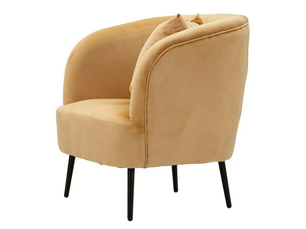 Landi fauteuil met armleuningen, 73x66x78h cm bruin, fauteuil, draagvermogen 150 kg, framekleur zwart