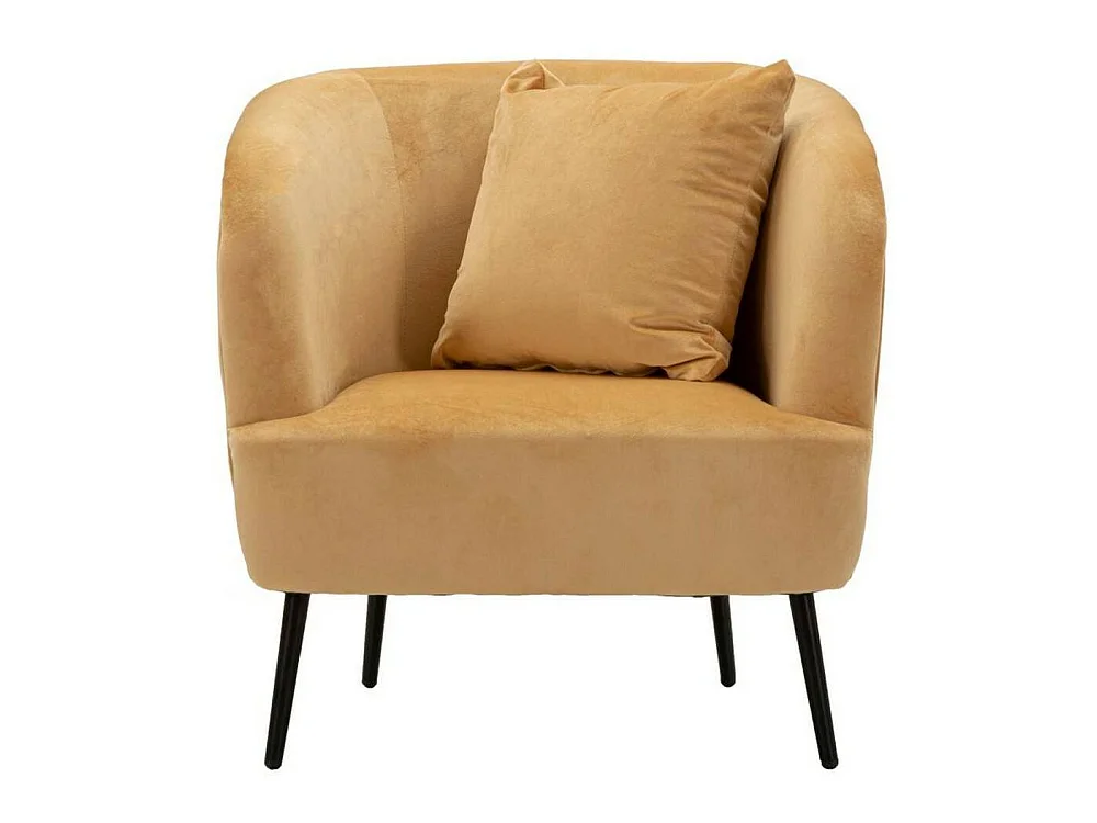 Landi fauteuil met armleuningen, 73x66x78h cm bruin, fauteuil, draagvermogen 150 kg, framekleur zwart