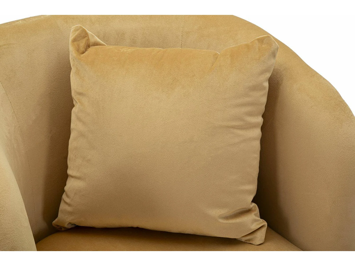 Landi fauteuil met armleuningen, 73x66x78h cm bruin, fauteuil, draagvermogen 150 kg, framekleur zwart