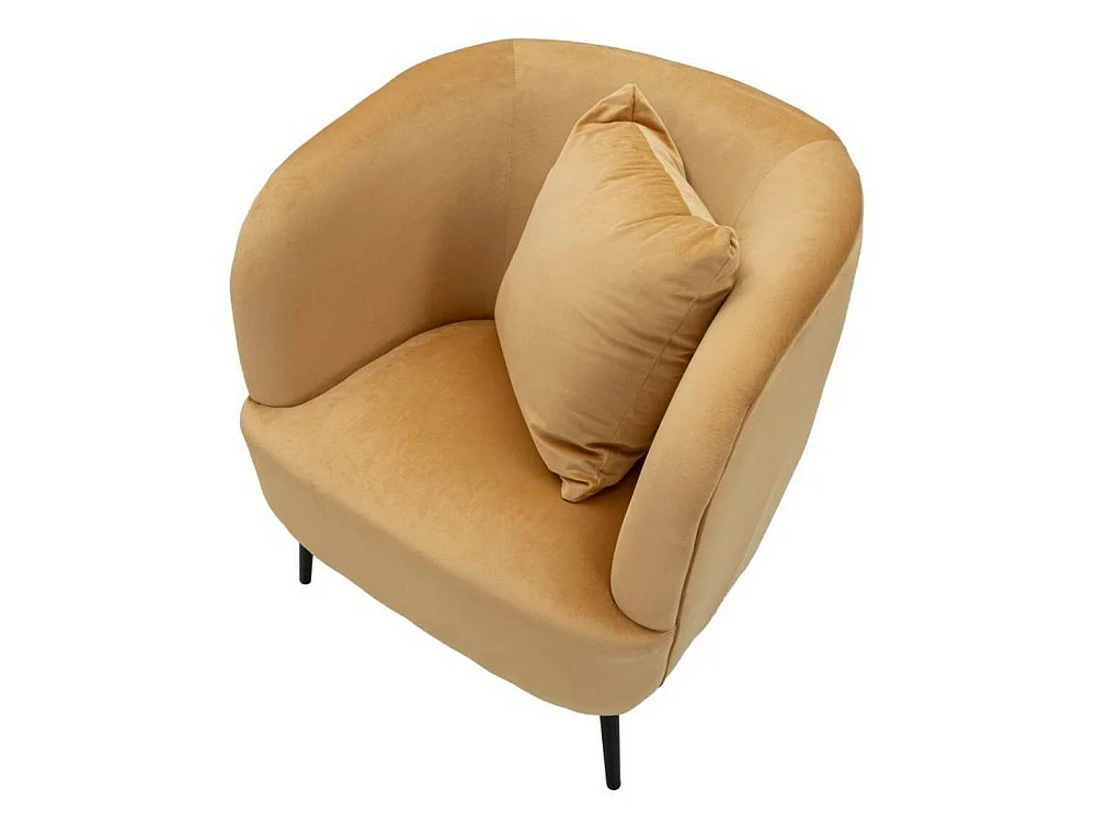 Landi fauteuil met armleuningen, 73x66x78h cm bruin, fauteuil, draagvermogen 150 kg, framekleur zwart