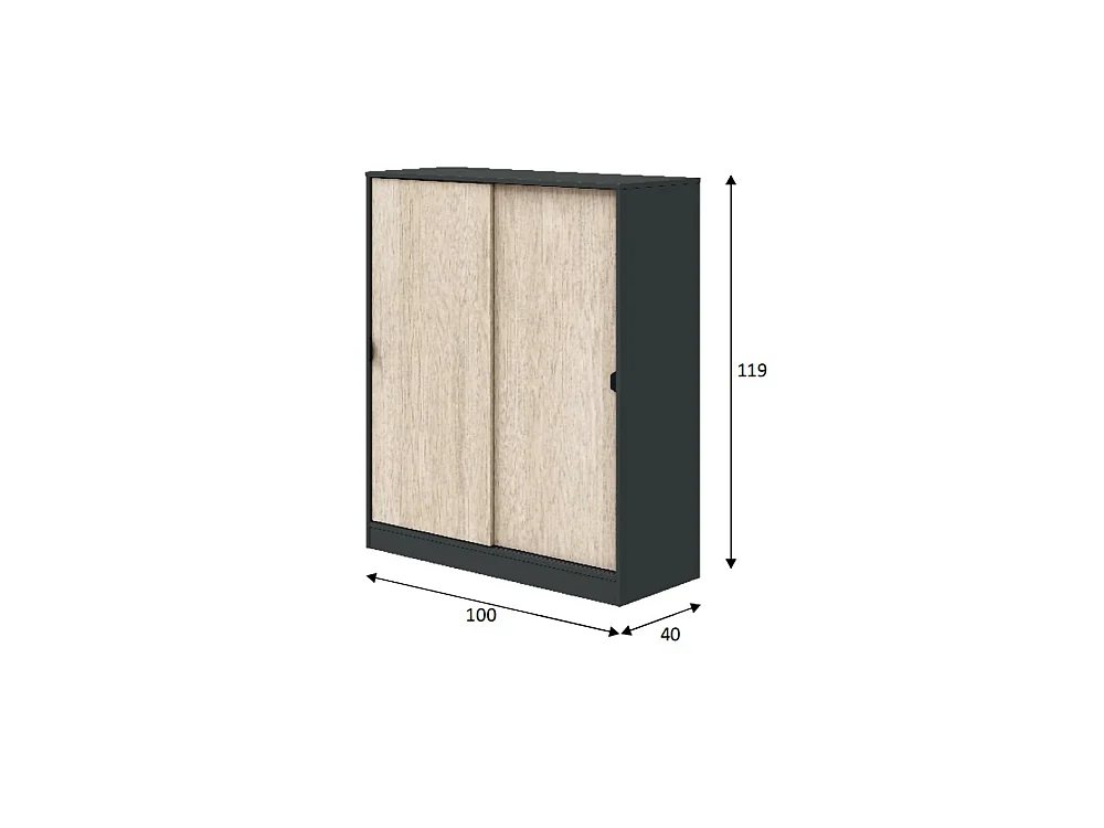 Tweepersoonskast Resana, 4 planken, 100x119 cm, Antraciet, Slaapkamerkast, 2 deuren, 6 vakken