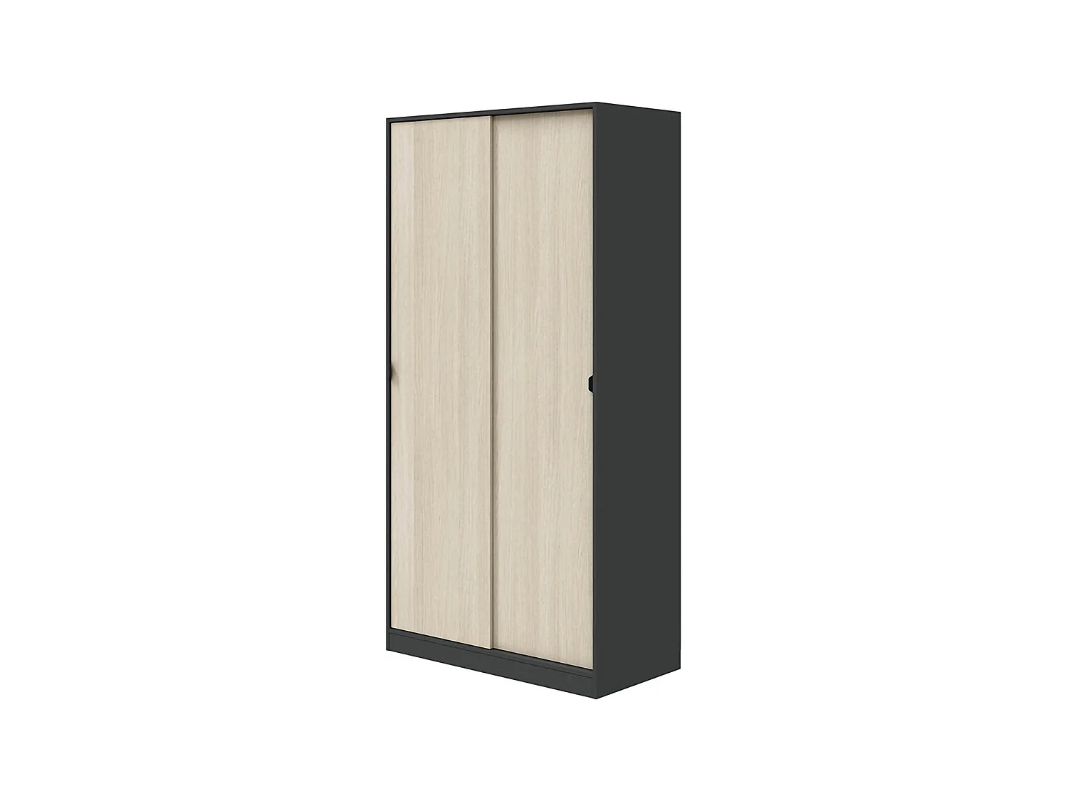 Kledingkast Orgosolo met 2 deuren, kledingroede, 100x200h cm zwart antraciet, slaapkamerkast, 4 legplanken, 2 deuren