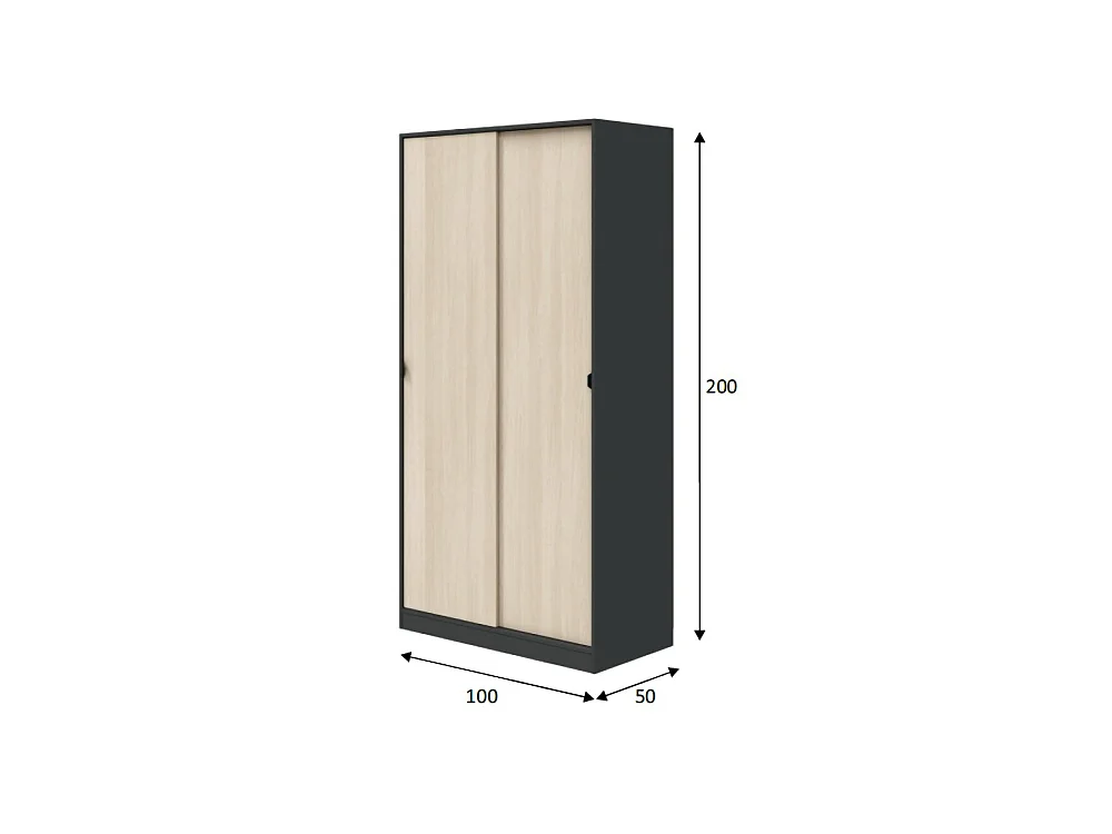 Kledingkast Orgosolo met 2 deuren, kledingroede, 100x200h cm zwart antraciet, slaapkamerkast, 4 legplanken, 2 deuren