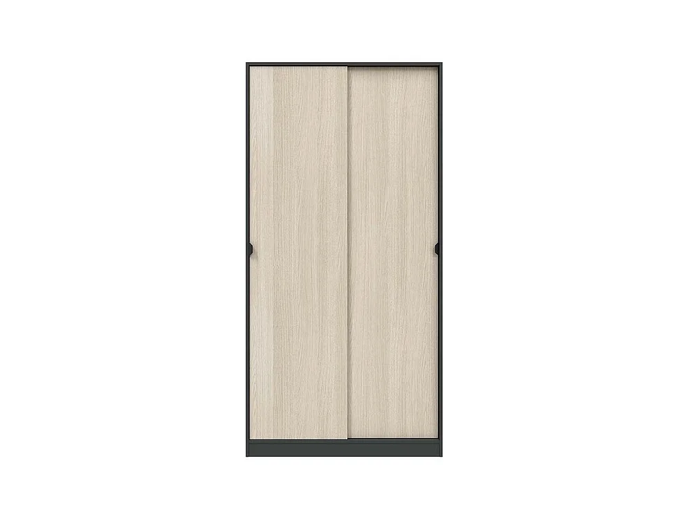 Kledingkast Orgosolo met 2 deuren, kledingroede, 100x200h cm zwart antraciet, slaapkamerkast, 4 legplanken, 2 deuren