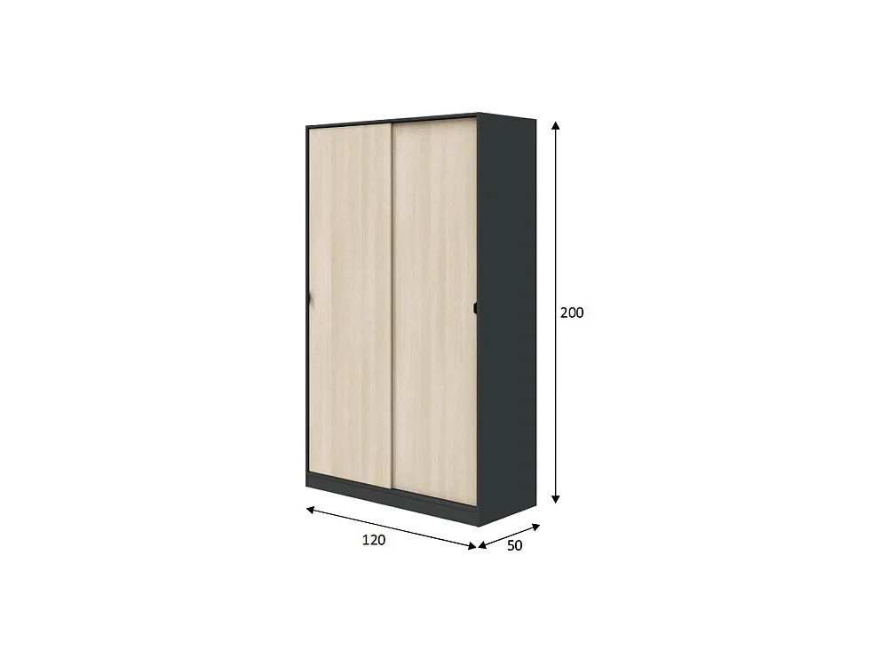 Armoire 2 Portes Fiora, 4 Étagères, 50x200h cm Gris Anthracite, Armoire Chambre