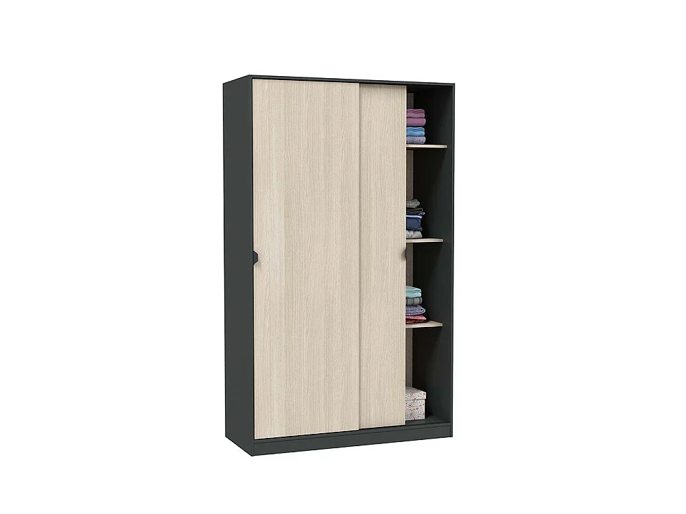 Armoire 2 Portes Fiora, 4 Étagères, 50x200h cm Gris Anthracite, Armoire Chambre