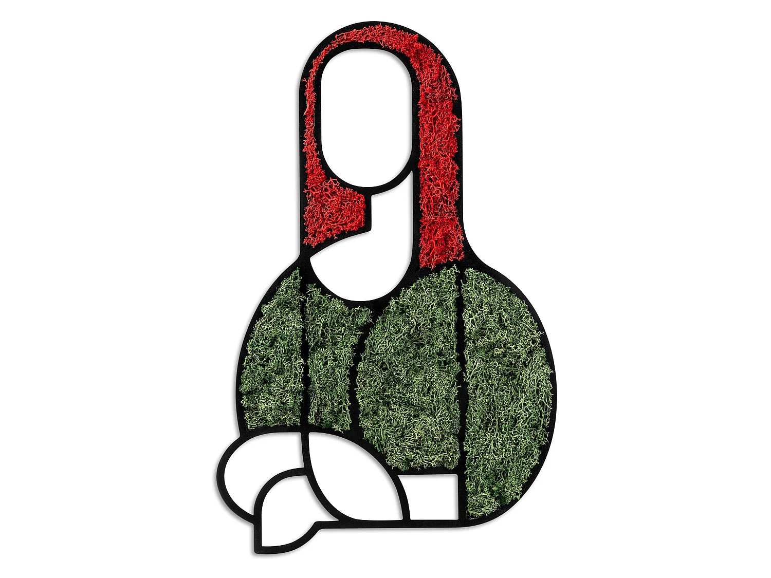 Cadre Misolo, Structure en Bois Noble, 48x31h cm, Vert, Structure Rouge
