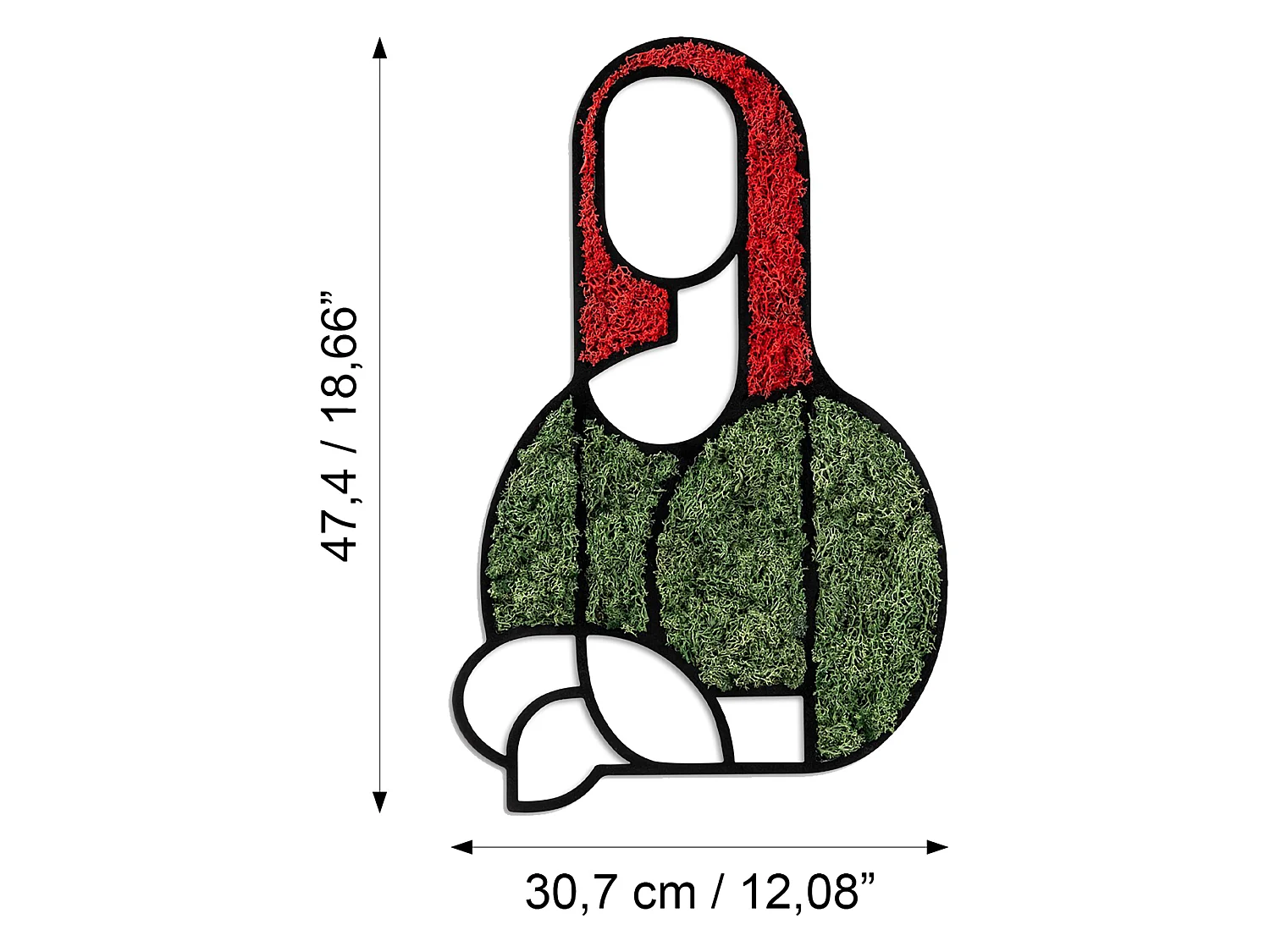 Cadre Misolo, Structure en Bois Noble, 48x31h cm, Vert, Structure Rouge