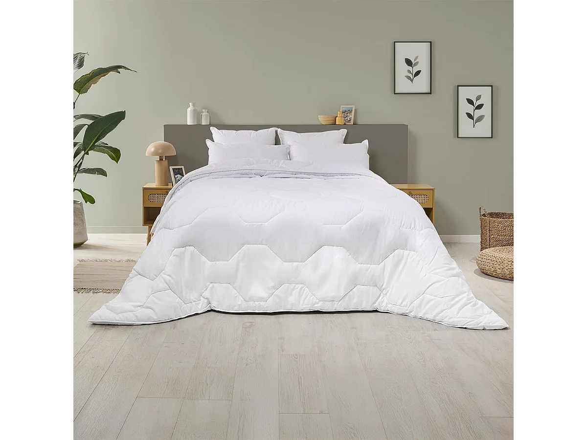 Pack Hôtel Couette Très Chaude 220x240cm + 2 Oreillers Moelleux 60x60 cm
