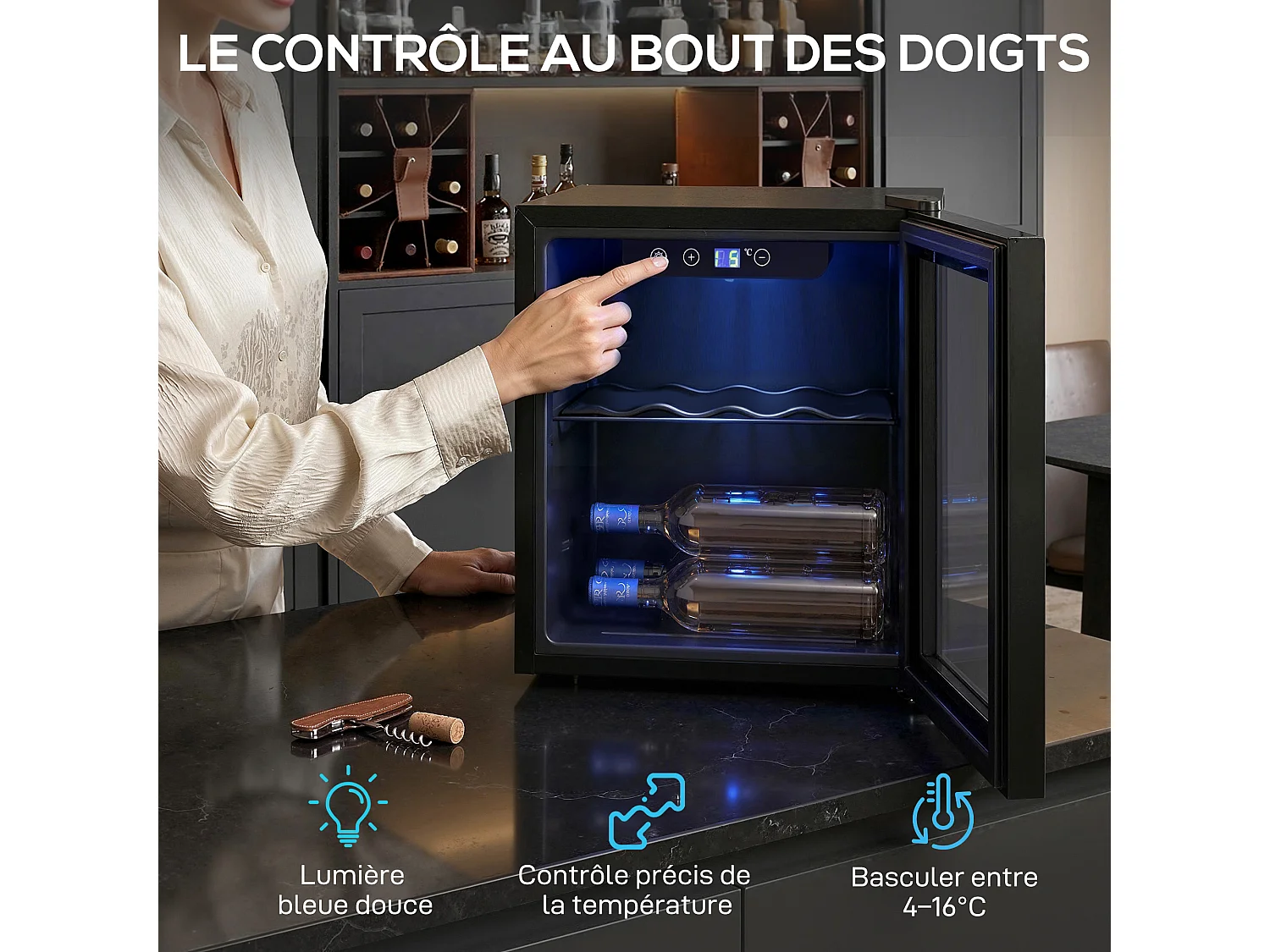 Cave à vin  12 bouteilles réglable 4-16°C porte réversible acier verre trempé noir