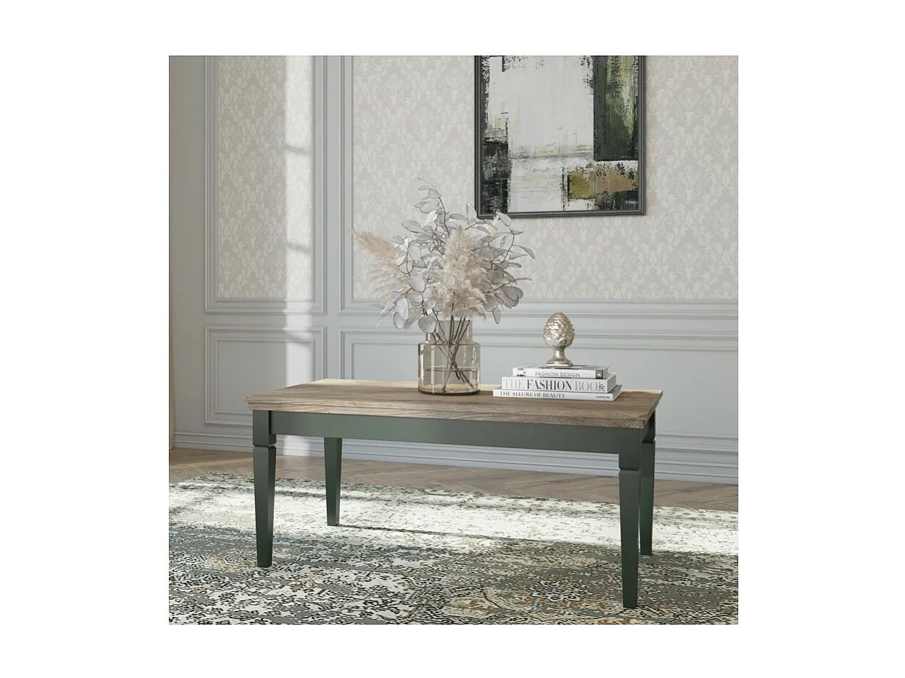 Table basse ASSIA – Rectangulaire 110x60 cm – Vert et chêne – Style classique chic