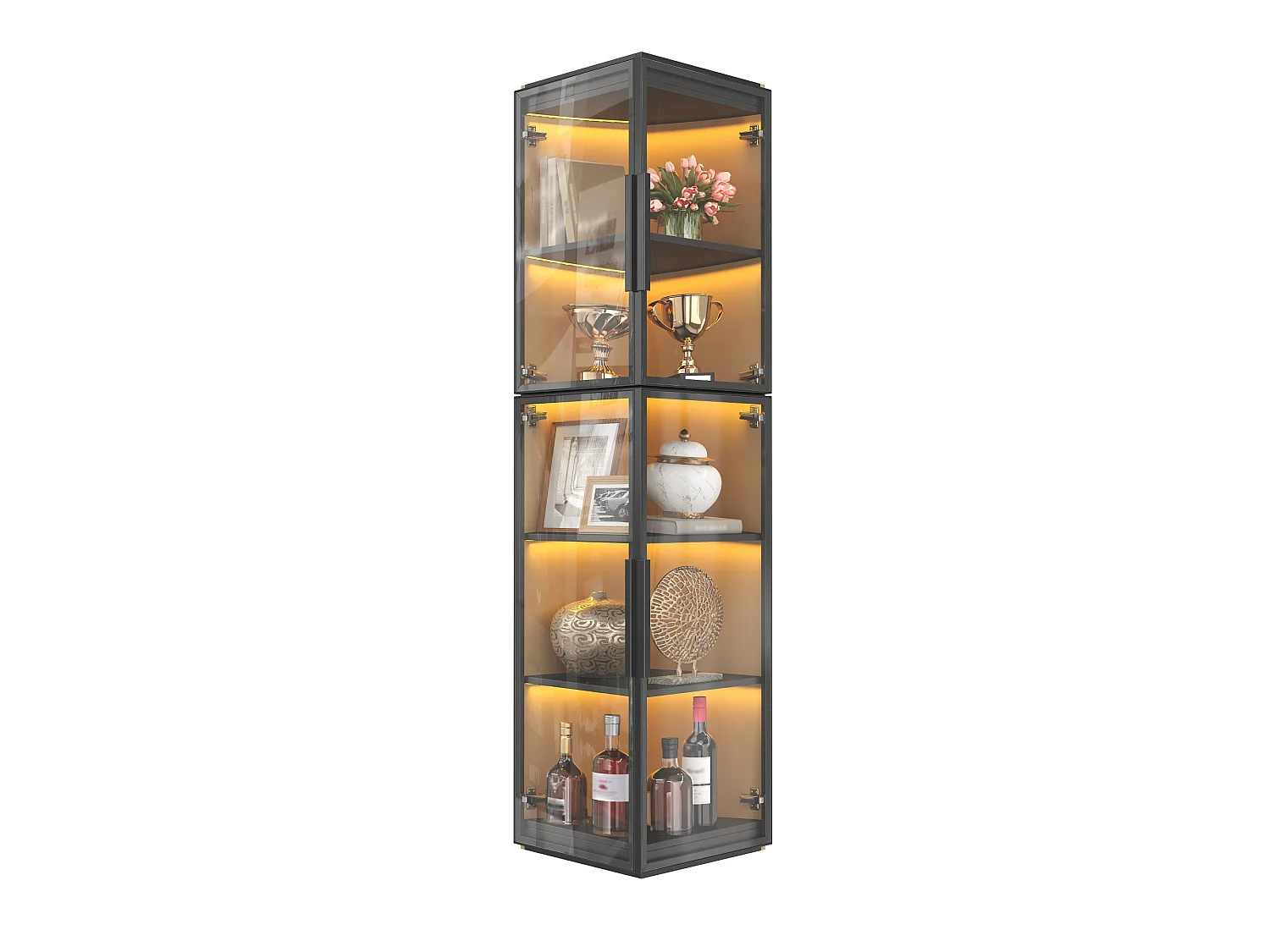 Vitrine de 170 cm de haut avec éclairage LED - Avec 2 portes et 5 étagères - Acrylique transparent - MDF - Noir
