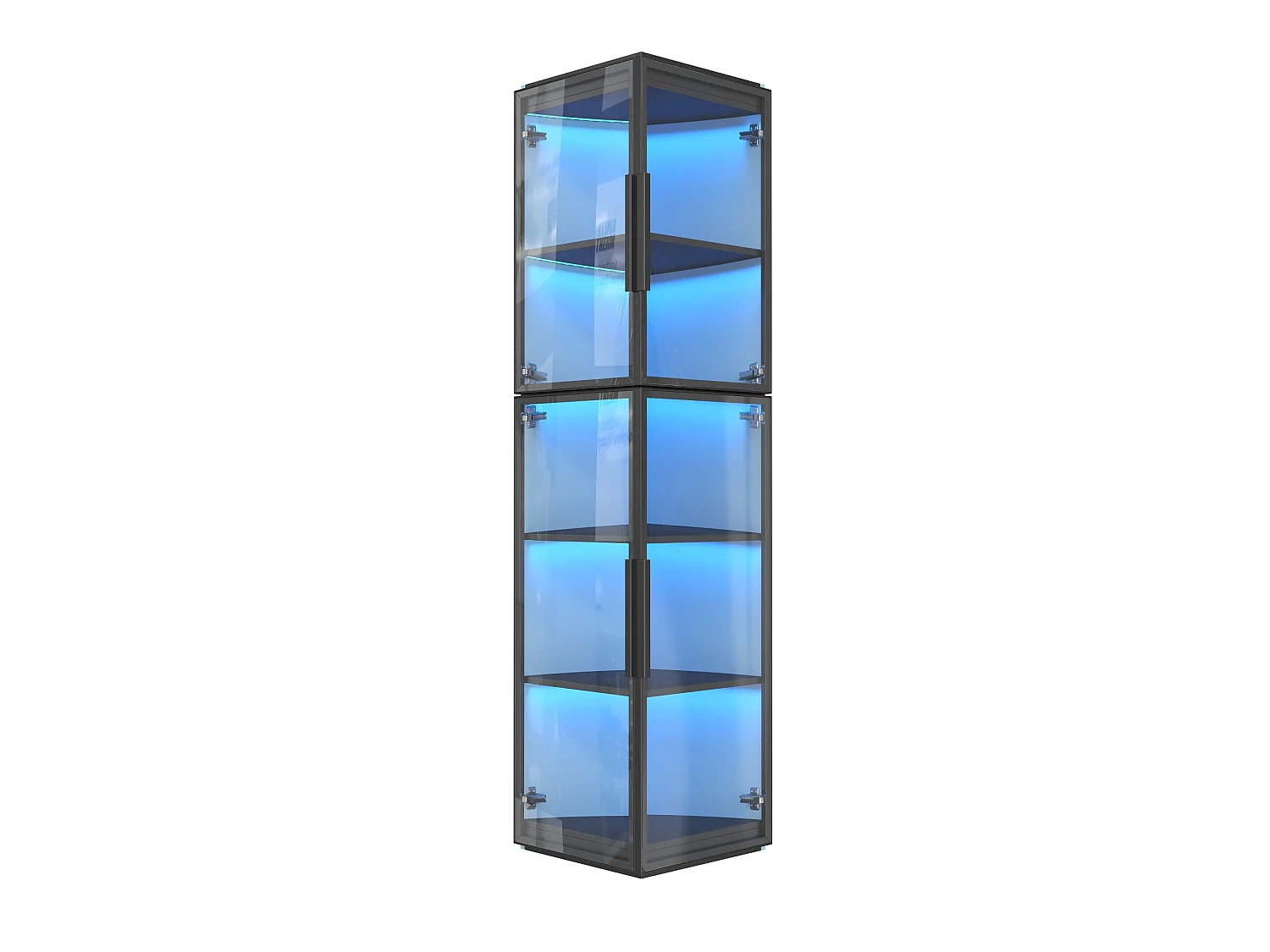 Vitrine de 170 cm de haut avec éclairage LED - Avec 2 portes et 5 étagères - Acrylique transparent - MDF - Noir