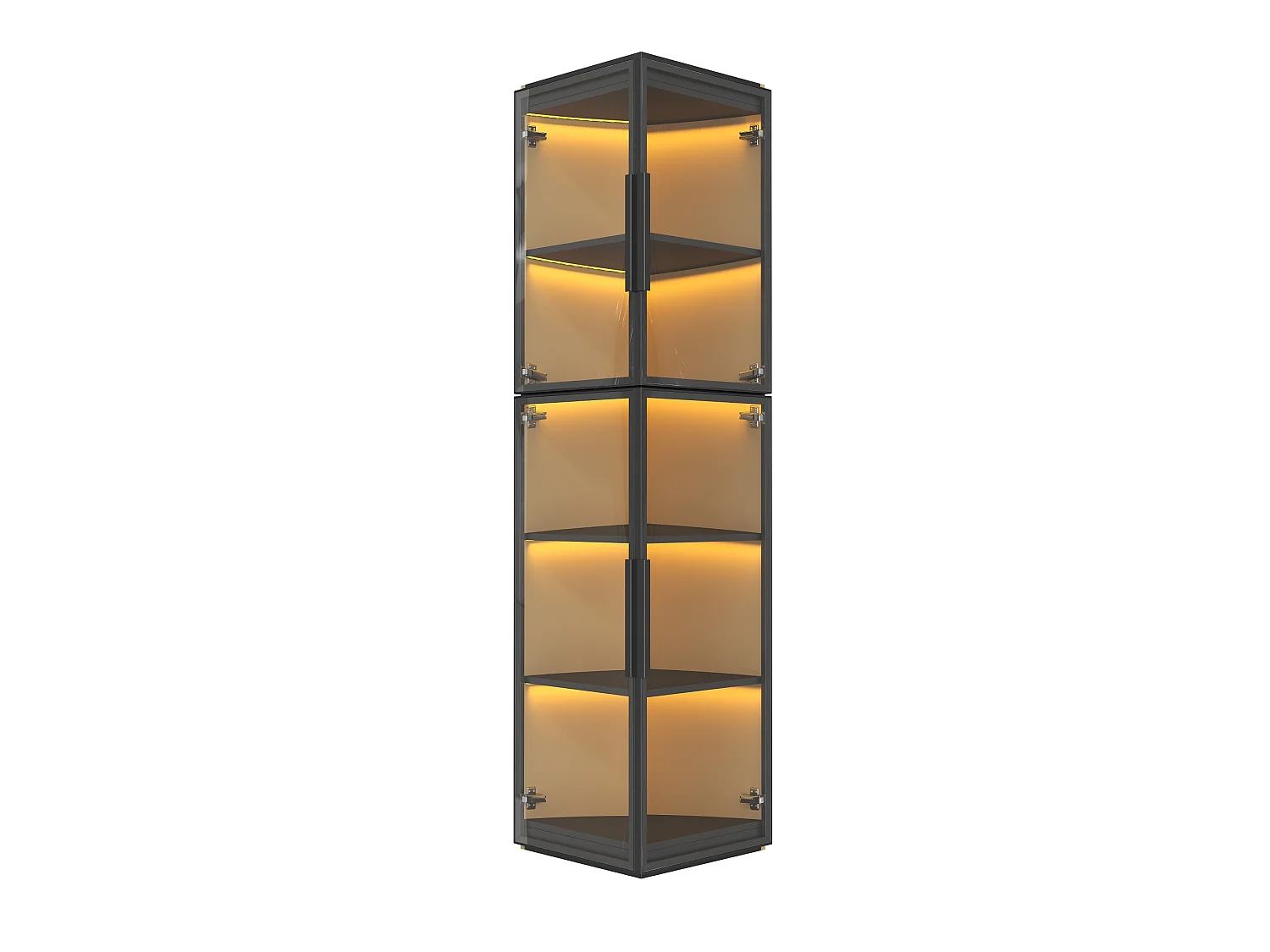 Vitrine de 170 cm de haut avec éclairage LED - Avec 2 portes et 5 étagères - Acrylique transparent - MDF - Noir