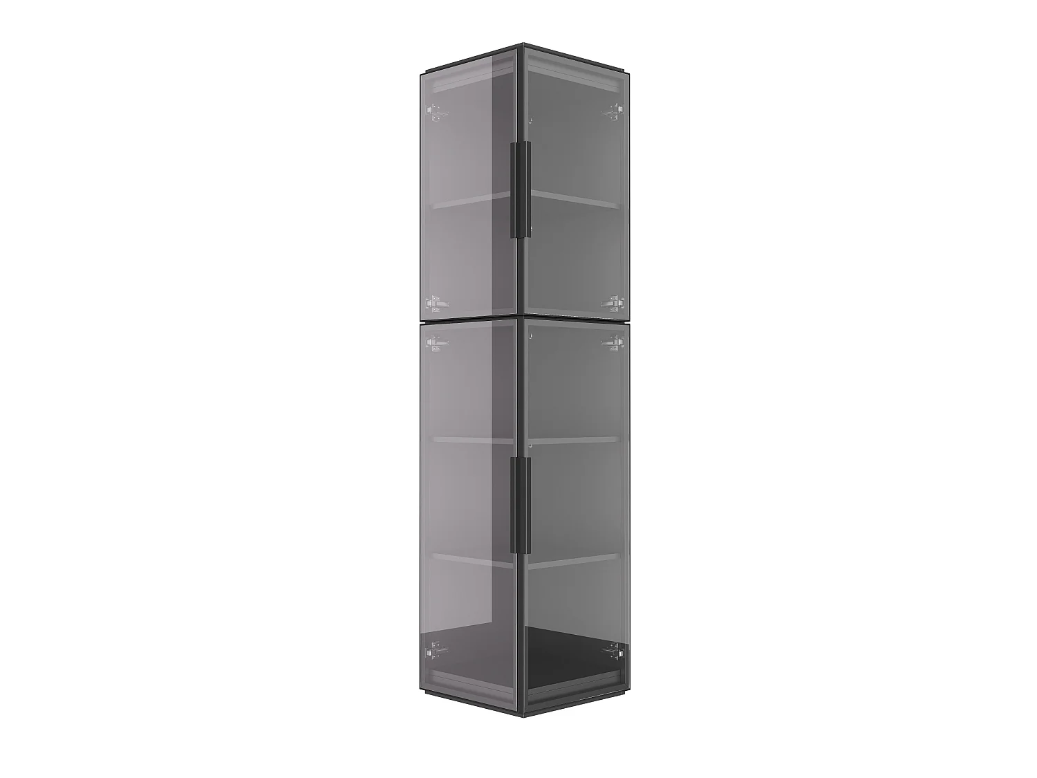 Vitrine de 170 cm de haut avec éclairage LED - Avec 2 portes et 5 étagères - Acrylique transparent - MDF - Noir
