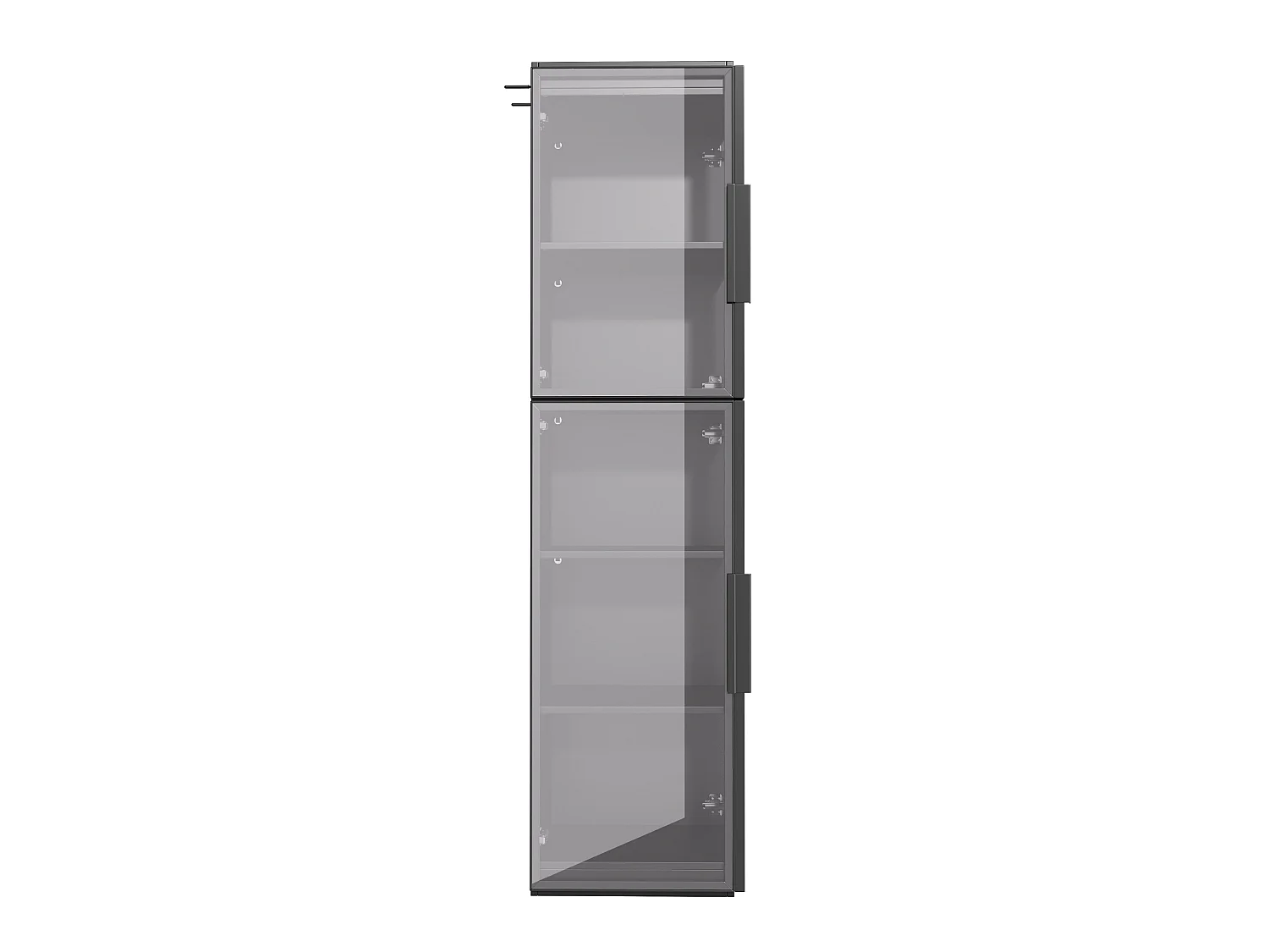Vitrine de 170 cm de haut avec éclairage LED - Avec 2 portes et 5 étagères - Acrylique transparent - MDF - Noir