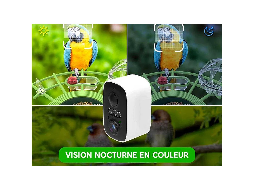 Mangeoire solaire pour oiseaux avec caméra et IA Oria