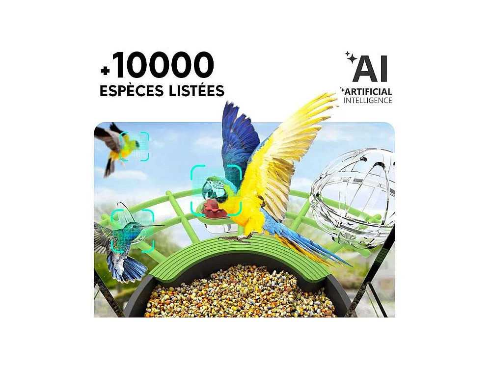 Mangeoire solaire pour oiseaux avec caméra et IA Oria