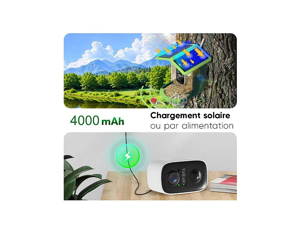 Mangeoire solaire pour oiseaux avec caméra et IA Oria