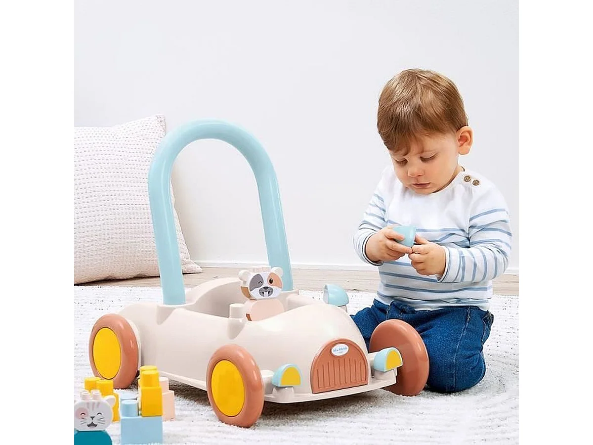 ECOIFFIER Chariot de marche avec 16 accessoires - Dès 12 mois