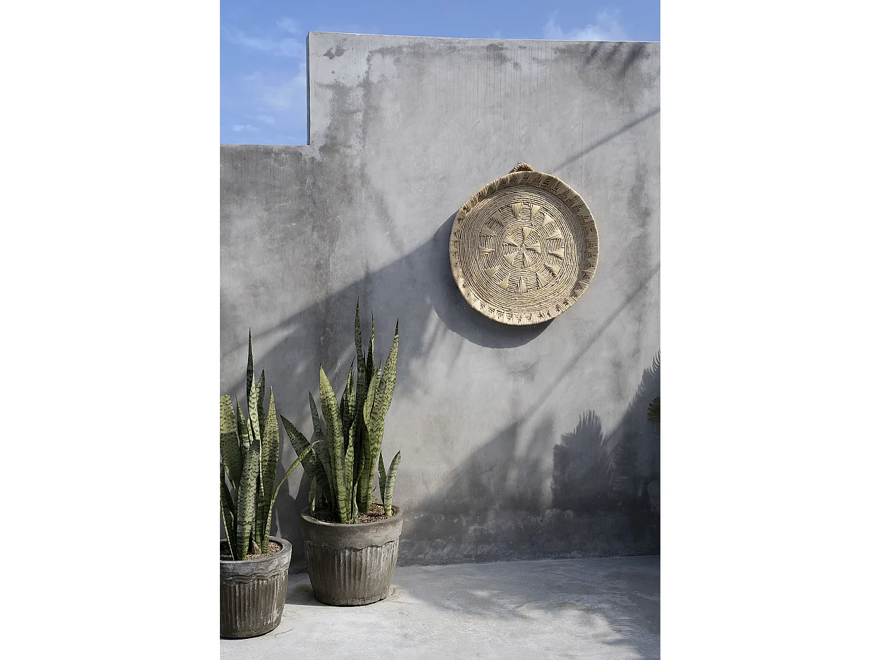 The Xolo Wall Deco - Natural - L