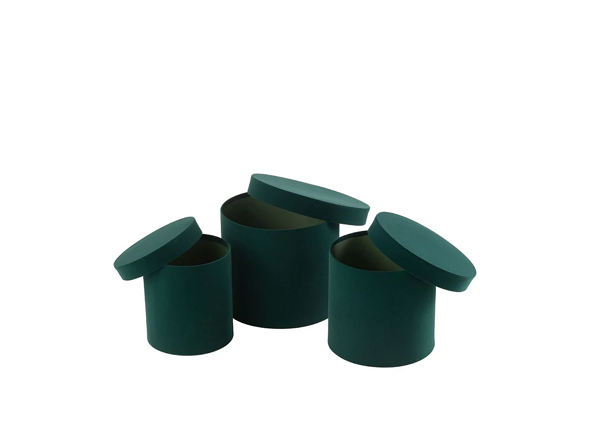 Lot de 3 Boîtes de Rangement Rondes "Vaughn" 27cm Vert