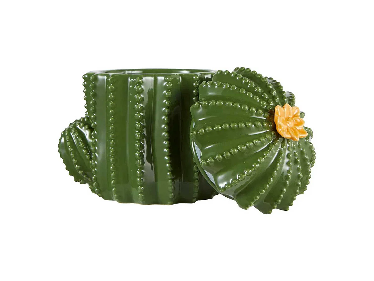 Boîte Cactus Déco en Céramique "Yucatan" 16cm Vert