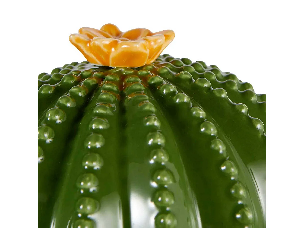 Boîte Cactus Déco en Céramique "Yucatan" 16cm Vert