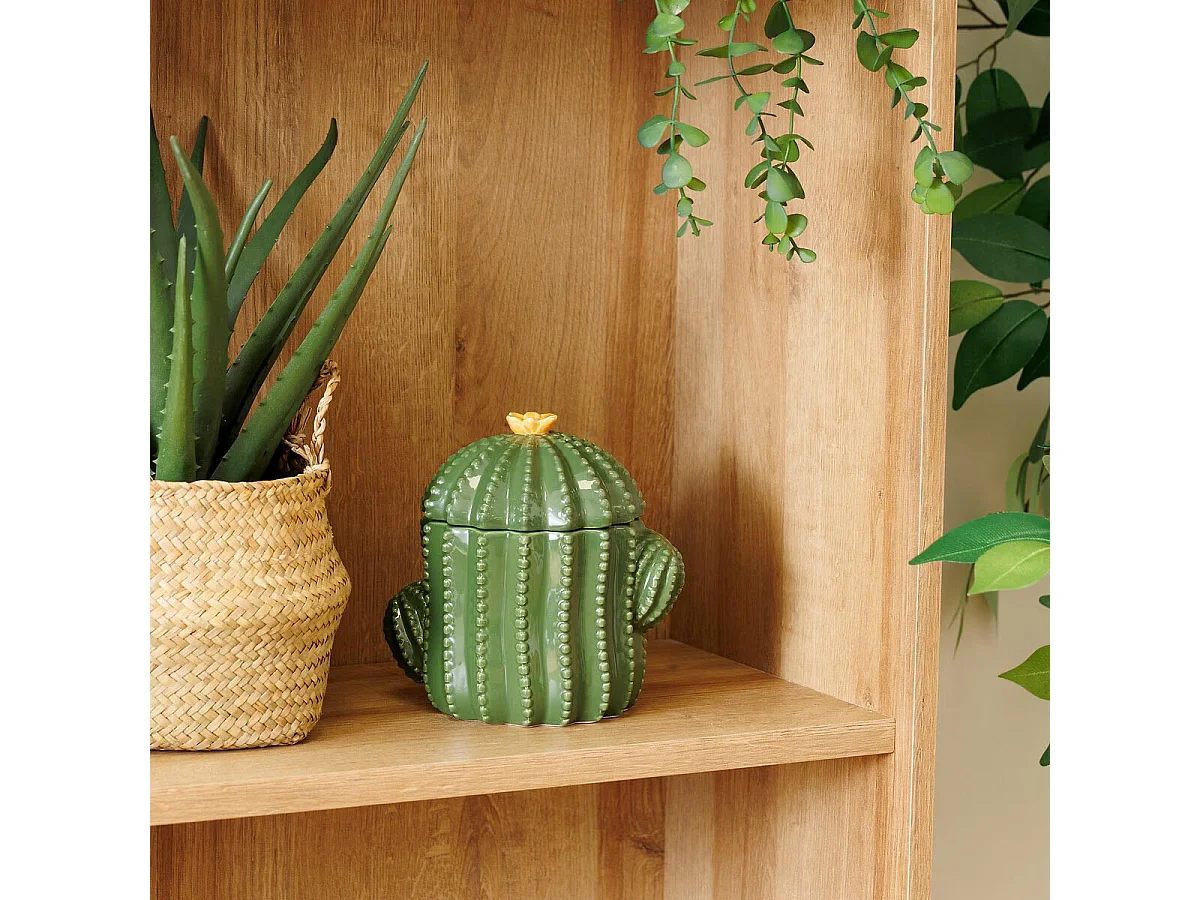 Boîte Cactus Déco en Céramique "Yucatan" 16cm Vert