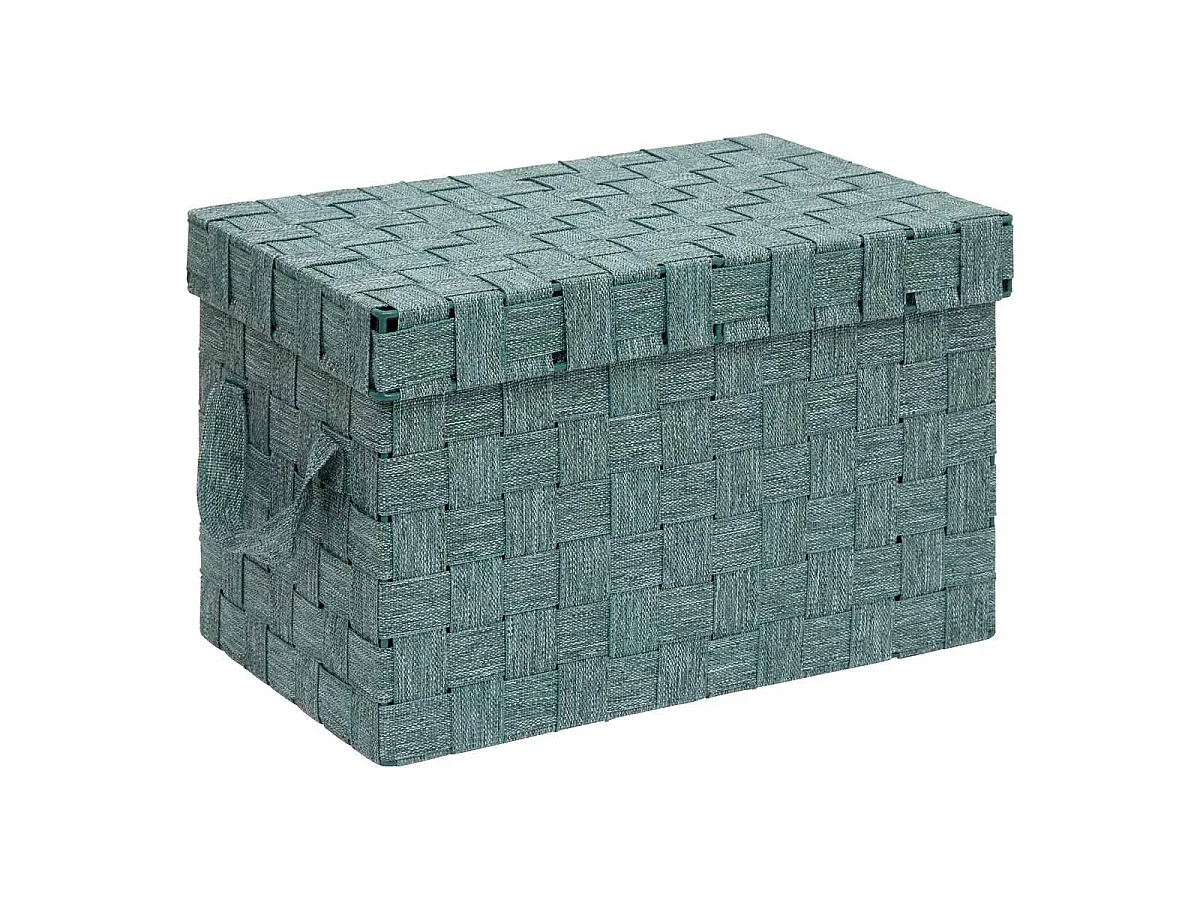 Lot de 2 Boîtes de Rangement "Lise" 35cm Vert