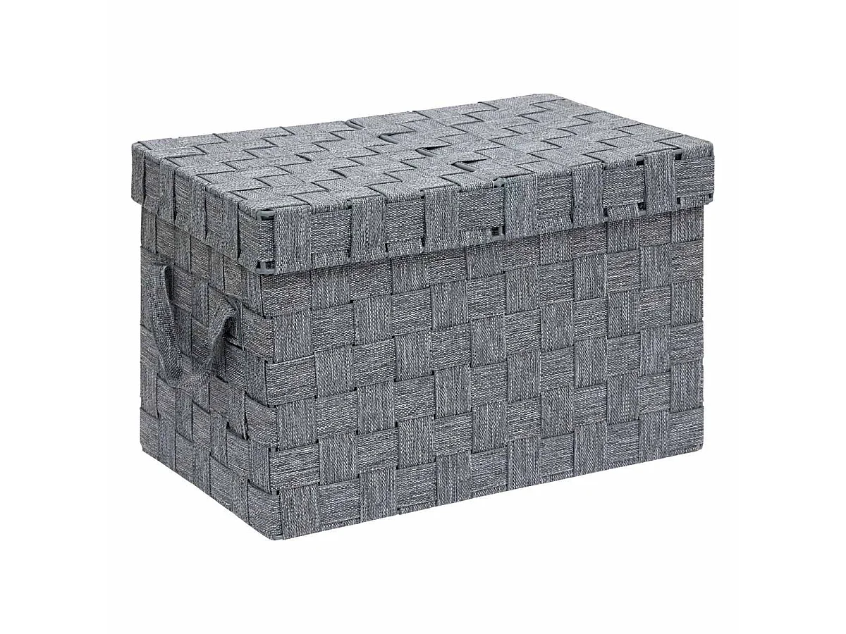 Lot de 2 Boîtes de Rangement "Lise" 35cm Gris