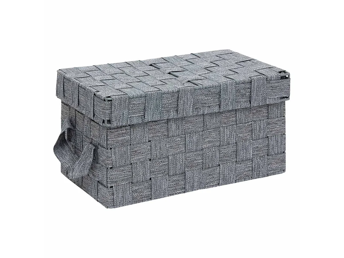 Lot de 2 Boîtes de Rangement "Lise" 35cm Gris