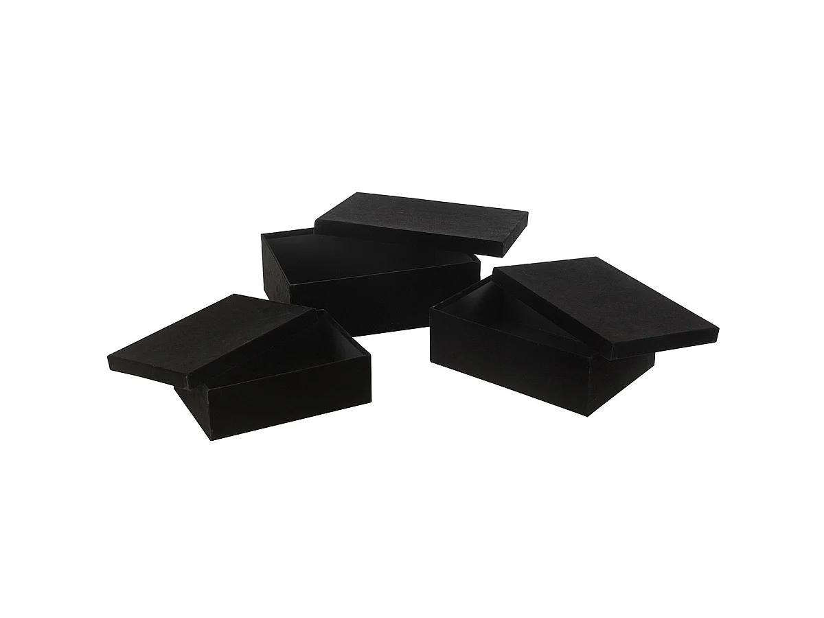 Lot de 3 Boîtes de Rangement "Vaughn" 36cm Noir