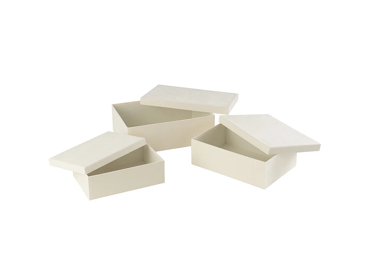 Lot de 3 Boîtes de Rangement "Vaughn" 36cm Blanc