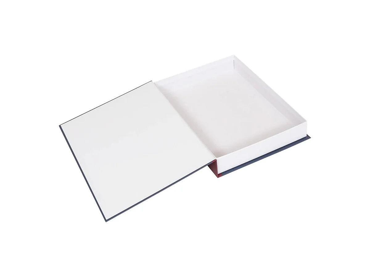 Lot de 2 Boîtes Livres "Della" 33cm Multicolore