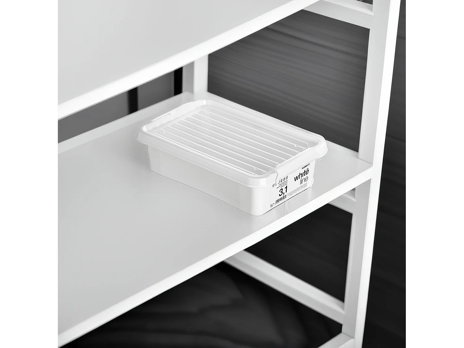 Plastic opbergbox met deksel, polypropyleen, wit, 29,5x20x8,5 cm