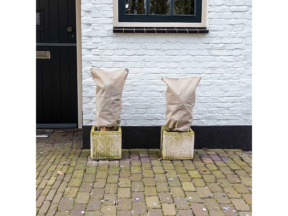 Voile d'hivernage respirante 40 x 60 cm (Set de 3)