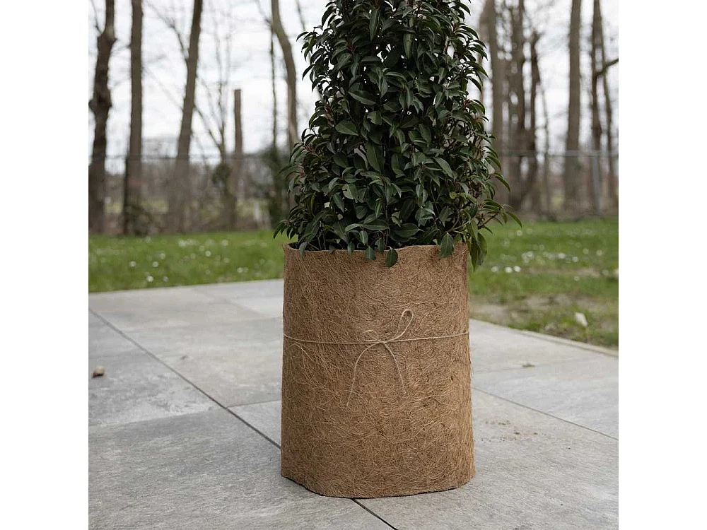Protection coco en rouleau 50 x 150 cm