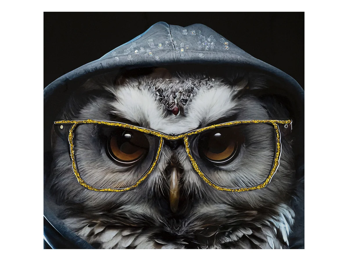Canvas schilderij Edvy hipster uil met lijst, 53x73 cm