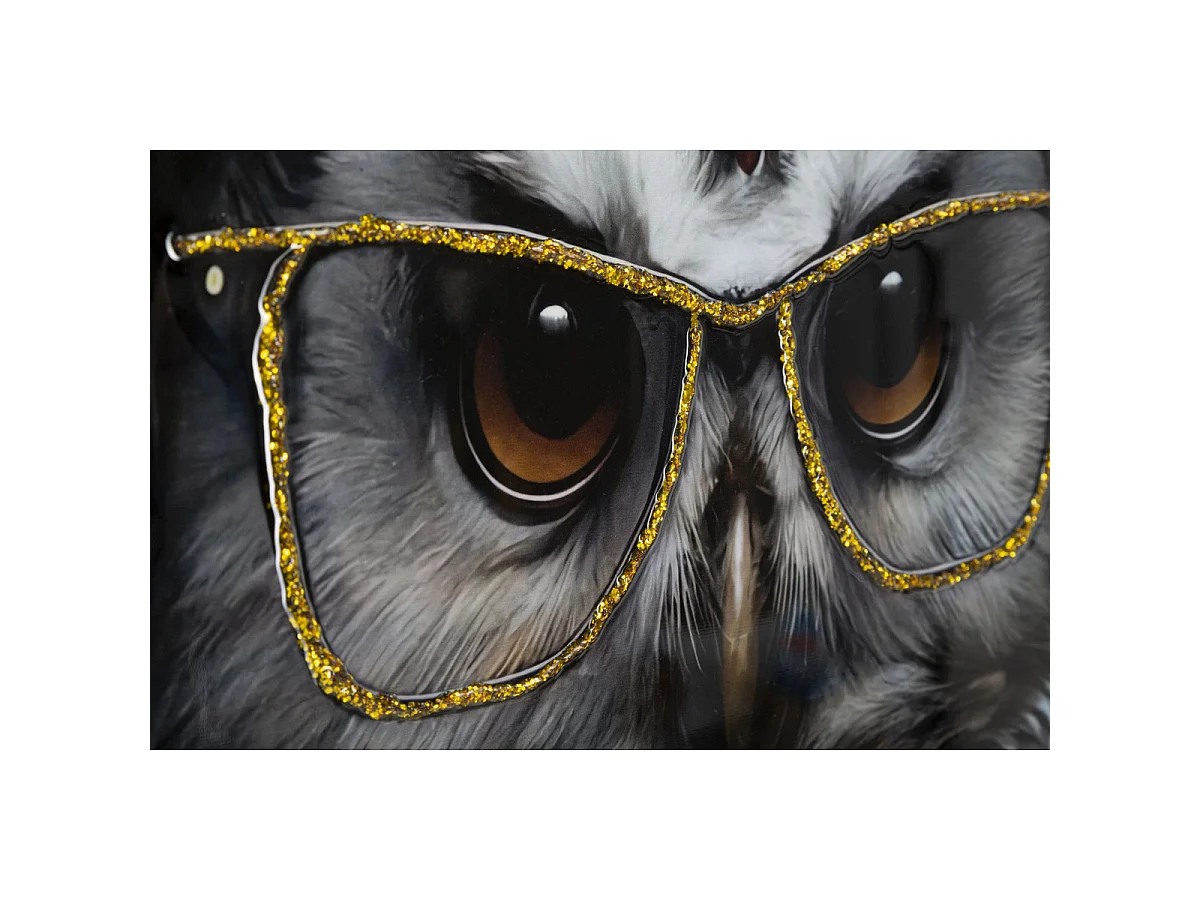 Canvas schilderij Edvy hipster uil met lijst, 53x73 cm