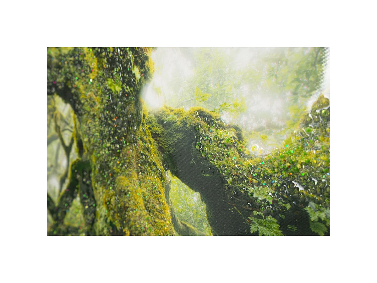 Canvasdruk Foresta — boslandschap met lijst, 90x60 cm