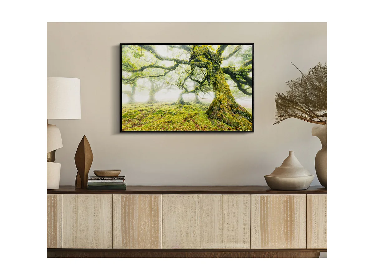Canvasdruk Foresta — boslandschap met lijst, 90x60 cm