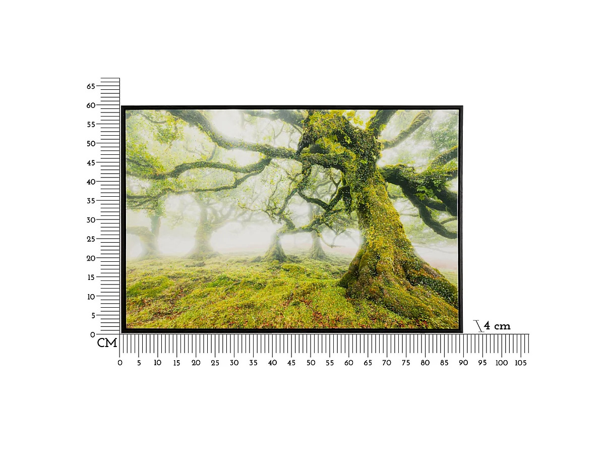 Canvasdruk Foresta — boslandschap met lijst, 90x60 cm