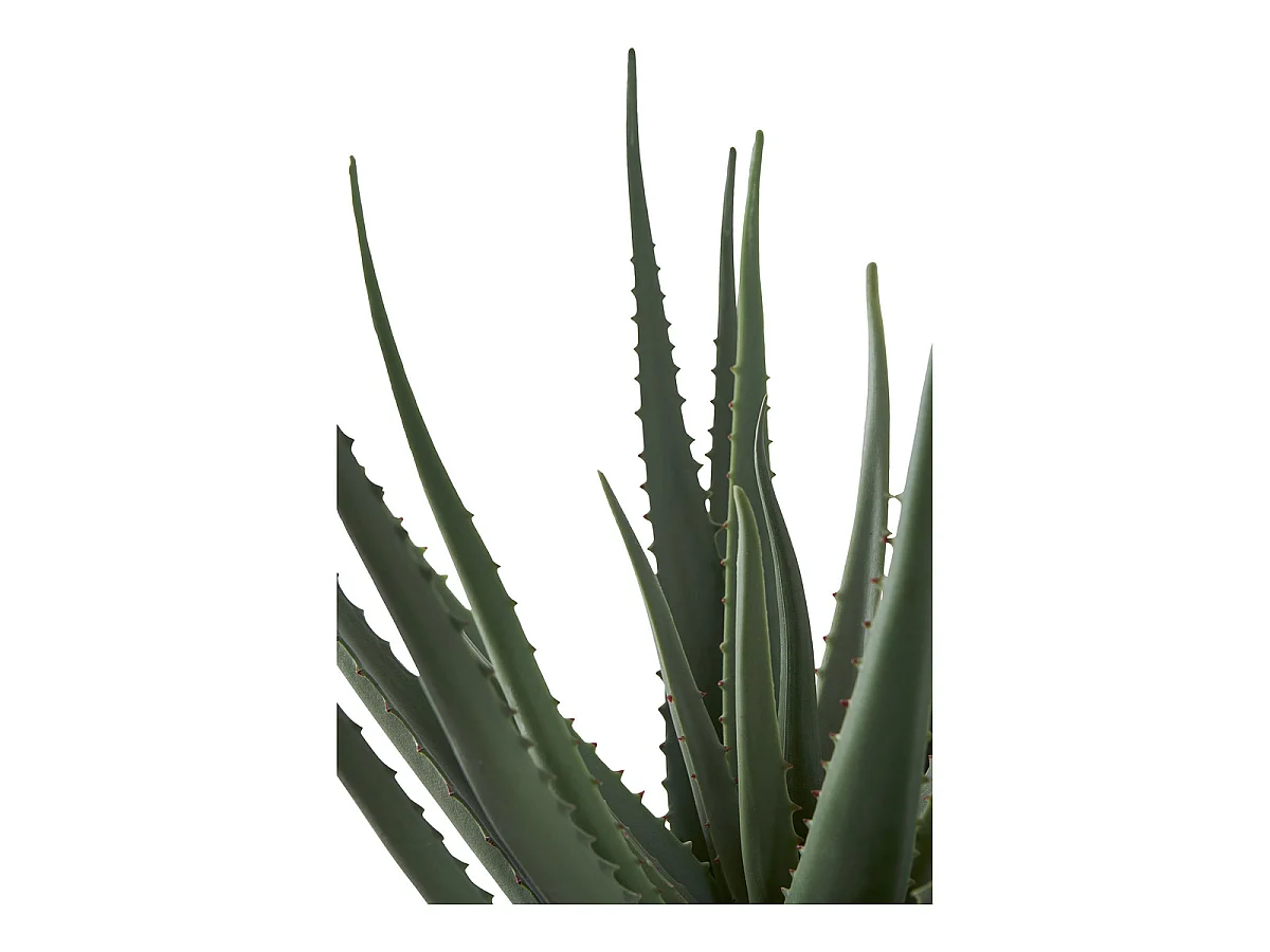 Pianta artificiale Aloe Vera in vaso nero H51 cm
