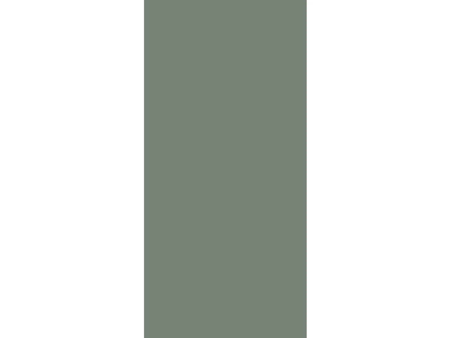 Armoire TOKAT couleur vert brumeux / panneaux gris