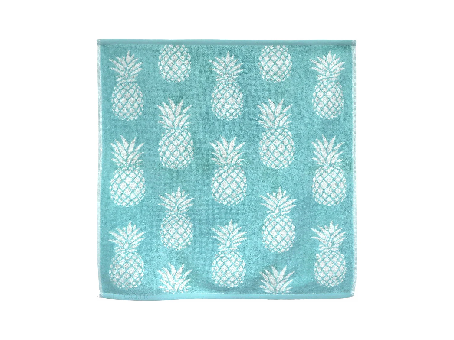 Lot de 2 torchons de cuisine éponge 50x50 cm coton PINEAPPLE bleu