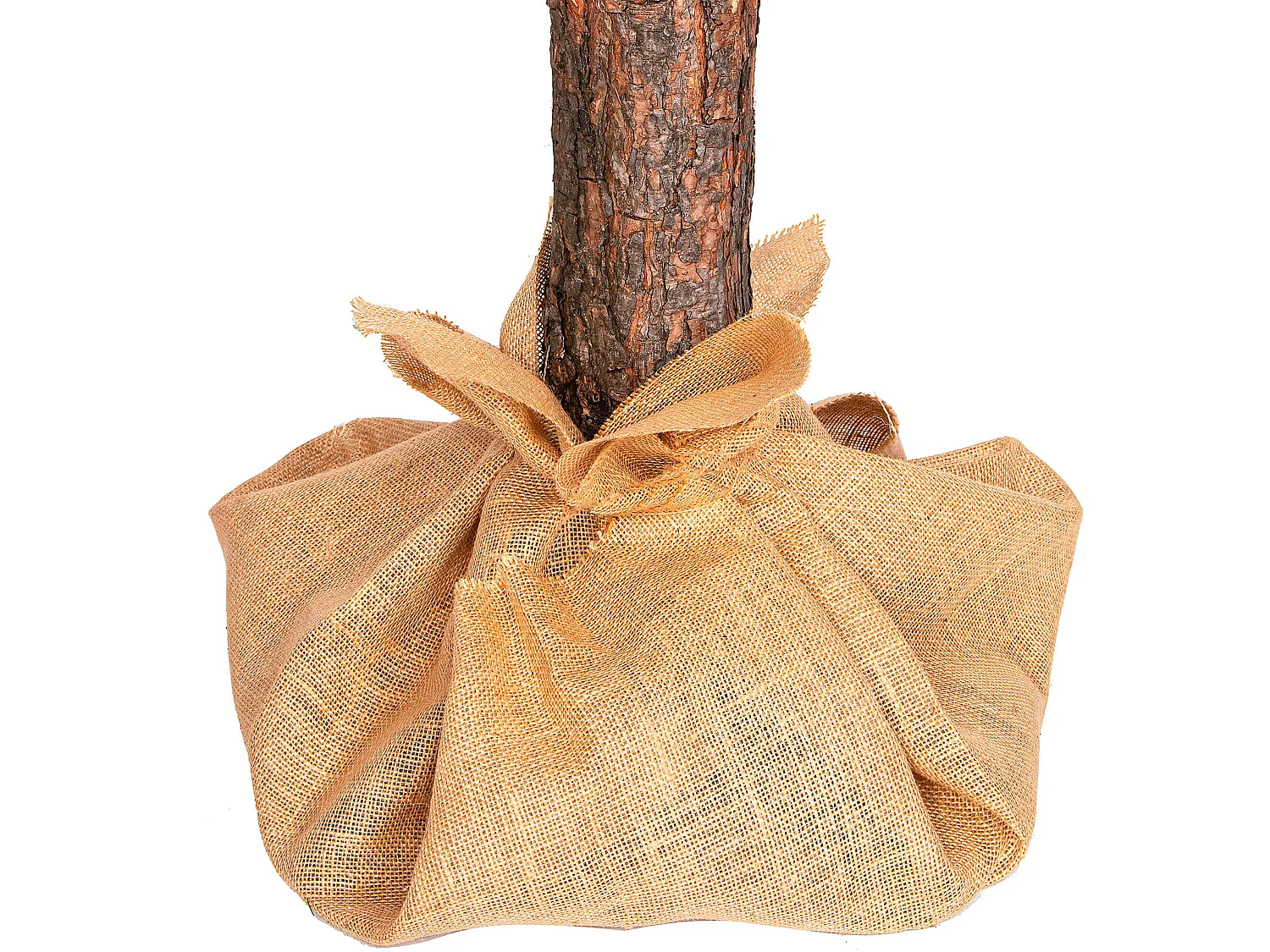 Árbol de Navidad artificial Springos® con tronco natural, pino nevado Diamond 160 cm
